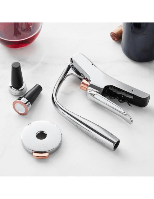 Set vino Williams Sonoma Signature de acero inoxidable