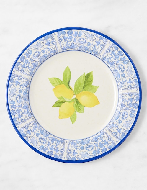 Set platos trinche Lemon de melamina 4 piezas 1