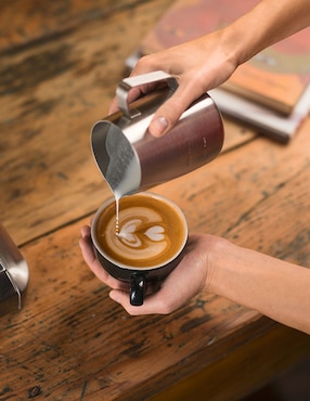 Cafetera espresso Breville BES870XL