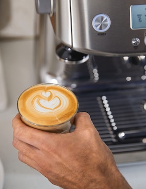 Cafetera de extracción Breville BES880BSS1BUS1