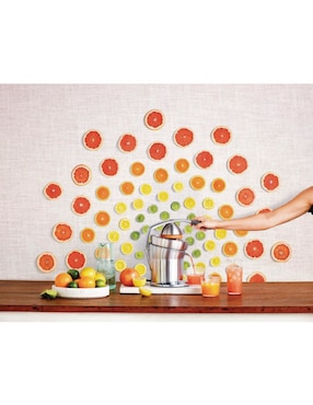 Exprimidor Breville the citrus press pro