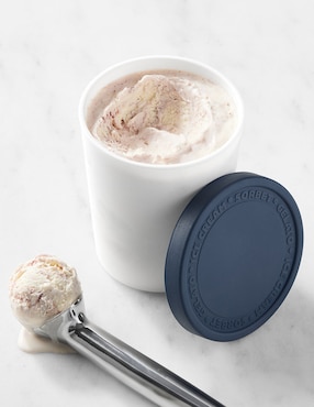 Contenedor de helado Ice Cream de plástico