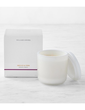 Vela aromática Home Fragrance Orchid & Fern aroma cítricos