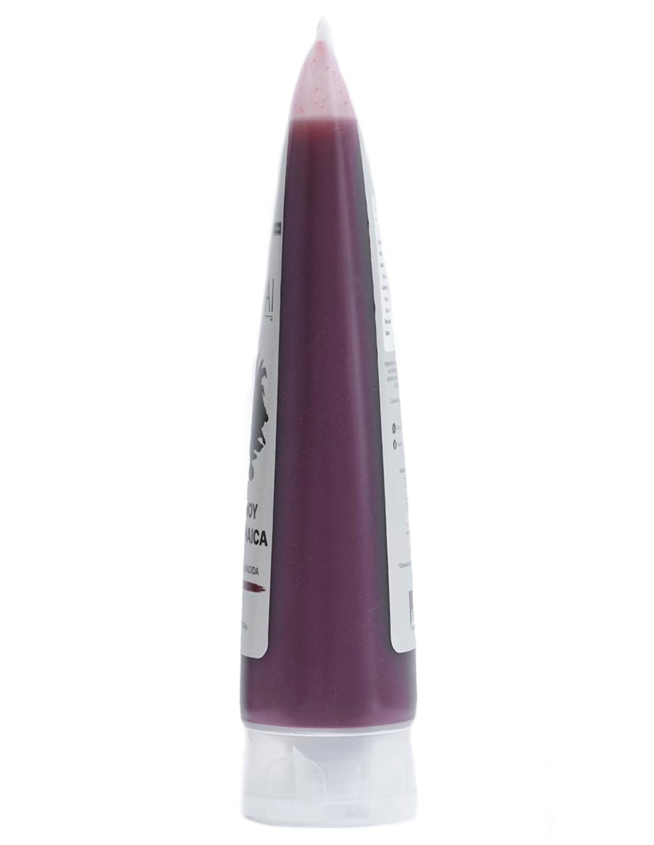 Chamoy sabor jamaica 2